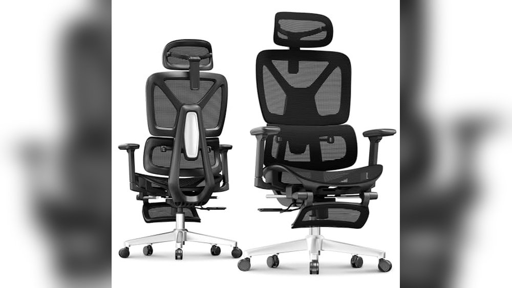 FLEXISPOT ErgoX Premium Chair Review: Comfort & Support Guide - tested for student use and academic value