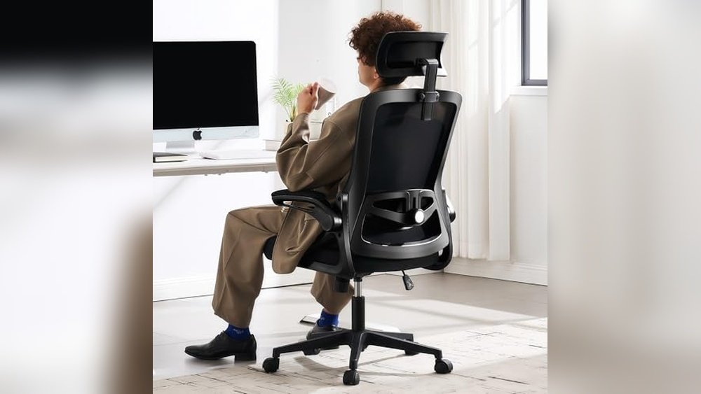 Fizzin Ergonomic Office Chair Review: Comfort & Support Guide - tested for student use and academic value